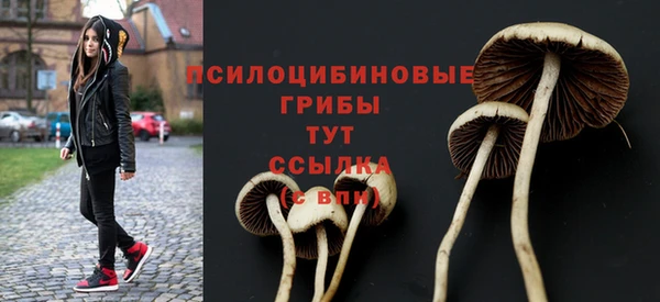 ГАЛЛЮЦИНОГЕННЫЕ ГРИБЫ Алексин