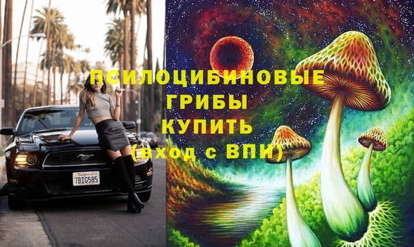 jwh Алзамай