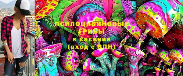 амф Алексеевка