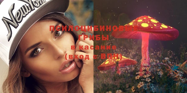 ГАЛЛЮЦИНОГЕННЫЕ ГРИБЫ Алексин