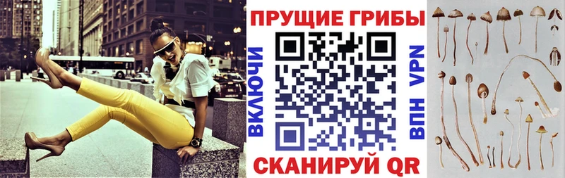 Галлюциногенные грибы мухоморы  omg зеркало  Сухой Лог  как найти наркотики 