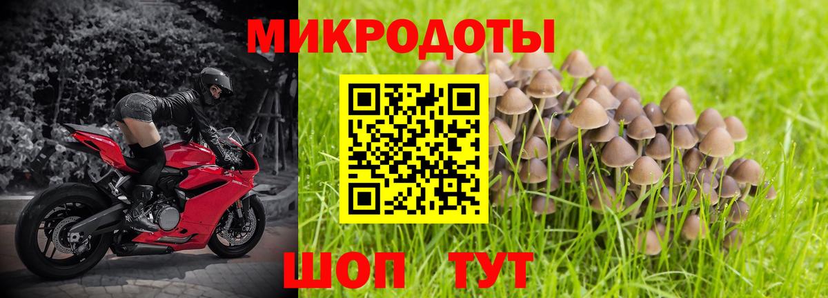 Псилоцибиновые грибы Psilocybine cubensis  Вход с VPN  Сухой Лог  Галлюциногенные грибы Psilocybine cubensis 